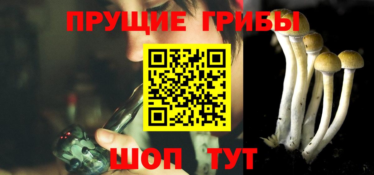 Саянск  Псилоцибиновые грибы MAGIC MUSHROOMS  Вход с VPN 
